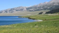 2026 北疆自駕遊全攻略 馳騁天山草原與湖泊 海外遊客專屬行程規劃