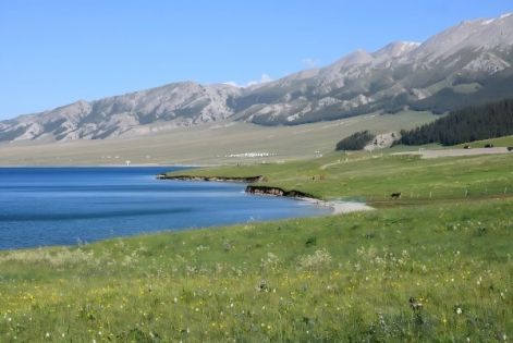 2026 北疆自駕遊全攻略 馳騁天山草原與湖泊 海外遊客專屬行程規劃