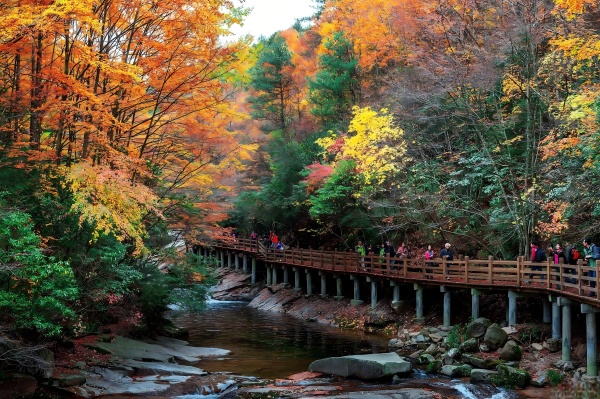 天台山秋景