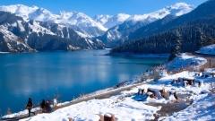 新疆十一月天氣及旅遊攻略｜冬日雪景與秋色交織的魅力之旅