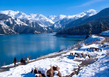 新疆十一月天氣及旅遊攻略｜冬日雪景與秋色交織的魅力之旅