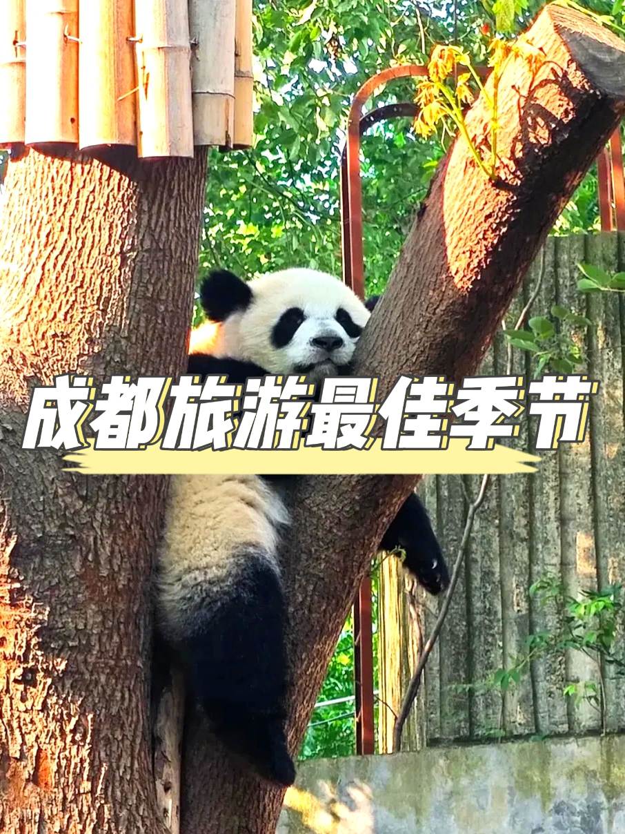 成都旅遊最佳季節攻略：一年四季玩轉天府之國！
