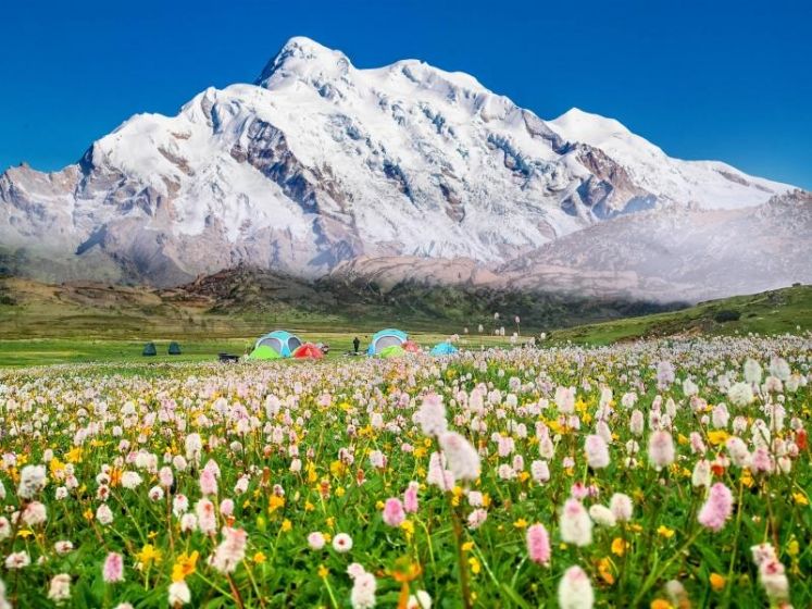成都-康定-理塘格聶轉山7日：雪域神山朝聖之旅