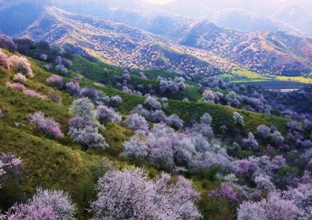 新疆三月天氣旅遊全攻略：穿搭與必去景點詳解