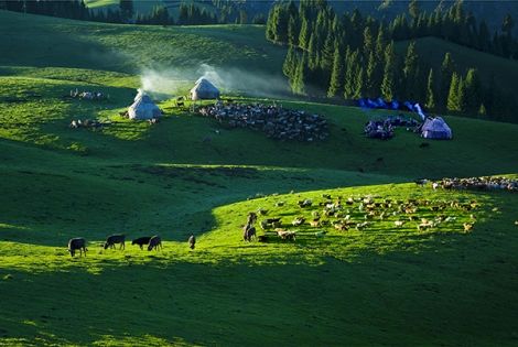 新疆七月天氣旅遊全攻略：天氣解析、景點與穿衣指南