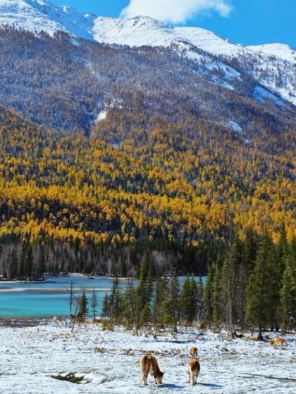 新疆南北疆風景攻略