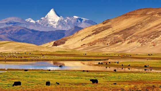 不一樣的西藏：拉薩與珠峰之外的安靜旅行路線