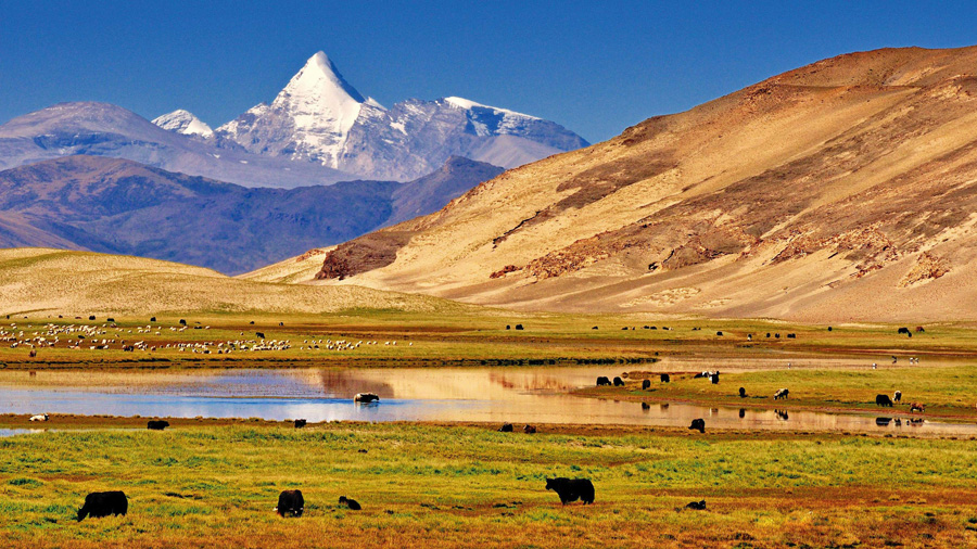 【西藏冬季藍冰限定】深度12日遊拉薩-林芝-魯朗-波密-來古-珠峰-納木錯