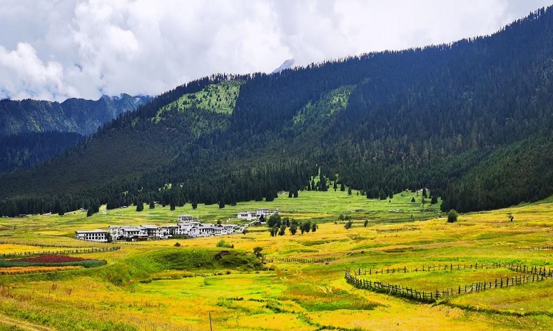 【2026首飛林芝赏桃花】林芝+波密野生桃花+拉薩+羊湖+青藏觀賞鐵路深度遊10天