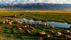 哈密市旅遊｜攻略必遊景點、門票、美食與交通全指南