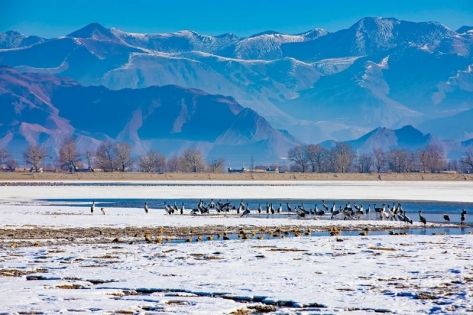 2026去西藏適合的季節｜海外遊客季節選擇指南：景觀、行程、預算全解析