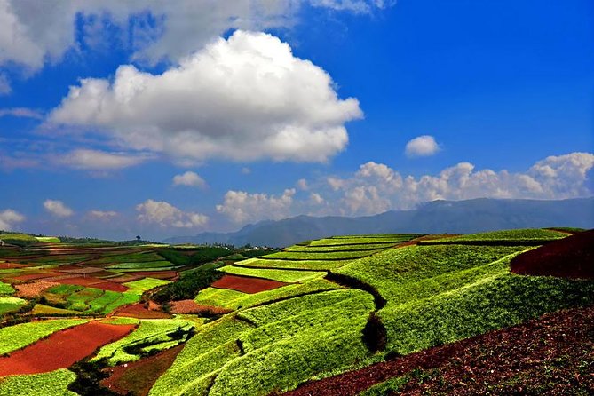 東川紅土地攝影