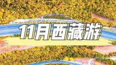 11月西藏淡季之旅：獨享聖城寧靜，邂逅高原深秋