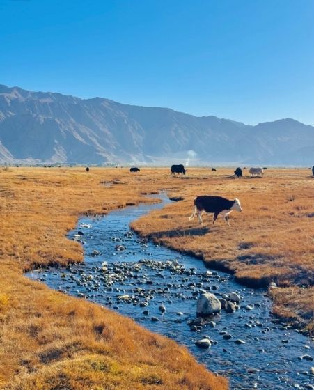 新疆南北疆風景攻略