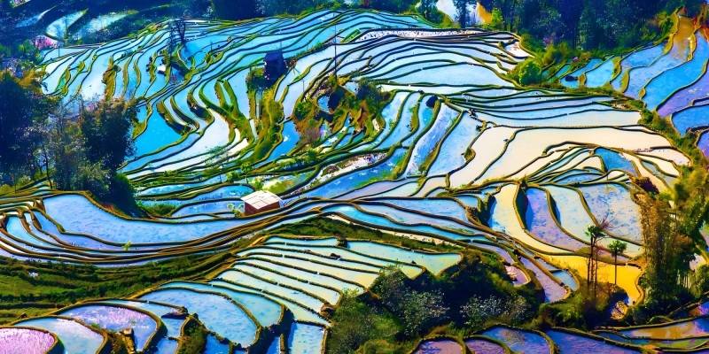 雲南昆明-元陽-大理-麗江-香格里拉12日全景精品遊