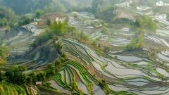 雲南昆明、大理、麗江、香格里拉深度體驗精華十日遊