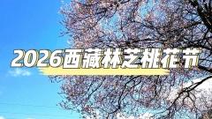 2026西藏林芝桃花節全攻略：邂逅雪域江南的春日盛宴