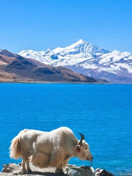 西藏雪景旅行全攻略