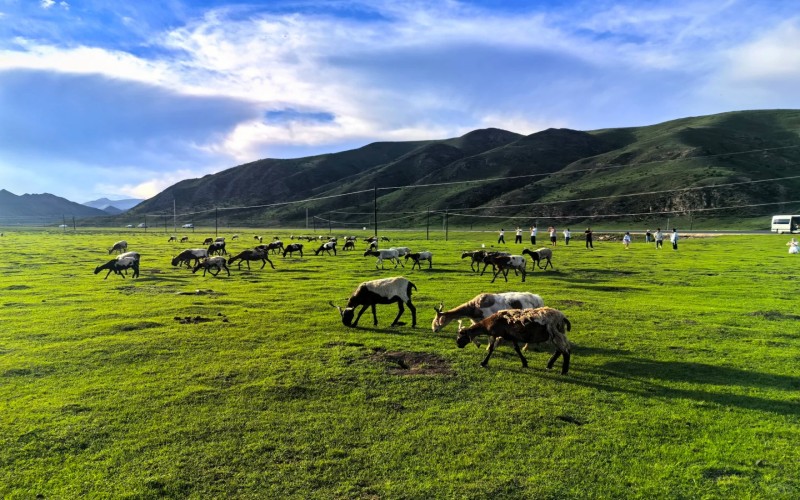 甘南六日遊·【豔美甘南】江迭公路小獨庫甘南川西深度體驗
