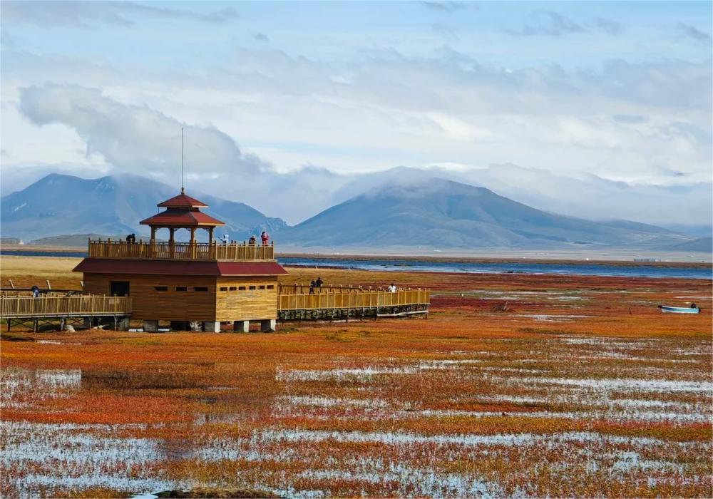 拉卜楞寺·桑科草原·扎尕那·九曲黃河第一灣·郎木寺6日遊