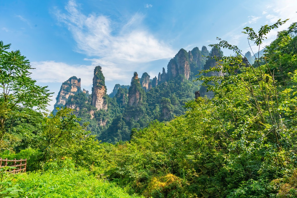 成都-重慶-張家界 8 天 | 熊貓基地-武隆喀斯特-天門山-張家界國家森林公園