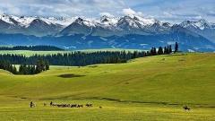 北疆絲綢之路全景11日遊：烏魯木齊-天山天池-喀納斯-禾木-賽里木湖-那拉提草原