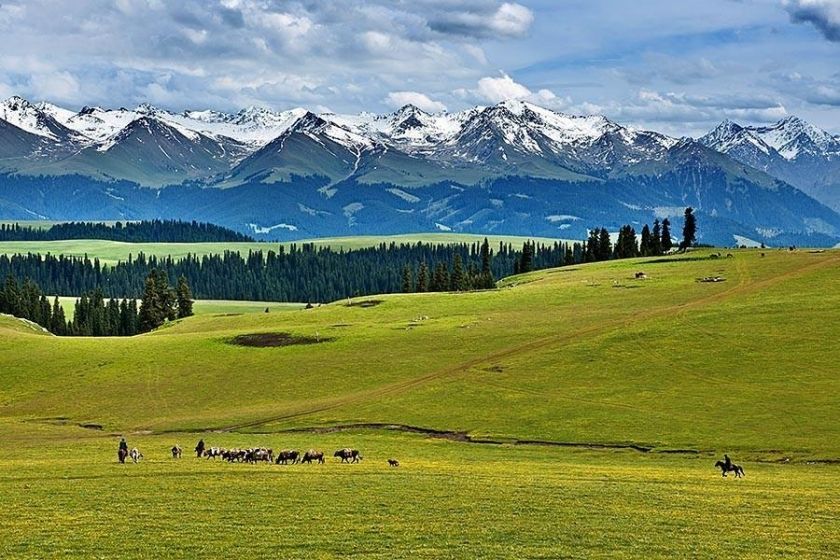 北疆絲綢之路全景11日遊：烏魯木齊-天山天池-喀納斯-禾木-賽里木湖-那拉提草原