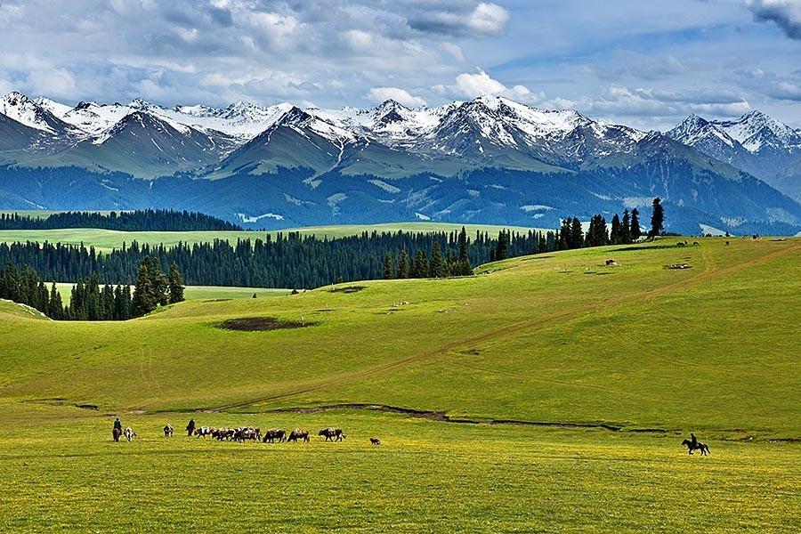 北疆絲綢之路全景11日遊：烏魯木齊-天山天池-喀納斯-禾木-賽里木湖-那拉提草原