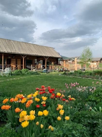 新疆天氣攻略之四季遊