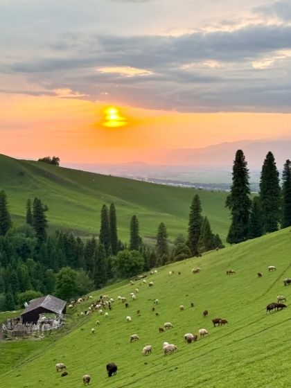 新疆自由行全攻略