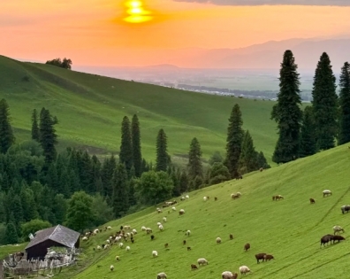 新疆自由行全攻略