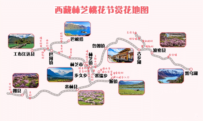 林芝賞桃花地圖