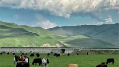 如果這一生還無法立刻前往西藏，那就先去甘南吧！