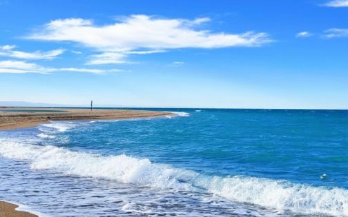 青海湖际遇_1_白日做梦小姐_来自小红书网页版