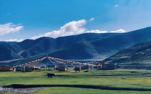 合作市→冶力关｜沿途的村落和寺庙｜甘南_6_Llty_来自小红书网页版(1)