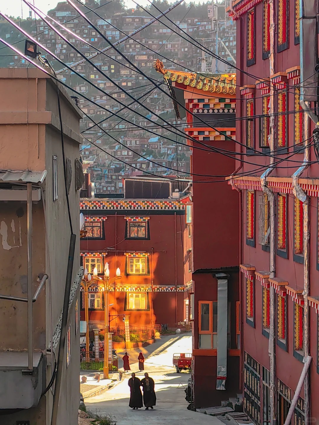 甘南川西北環線八日遊|拉卜楞寺、郎木寺、扎尕那、色達佛學院深度之旅