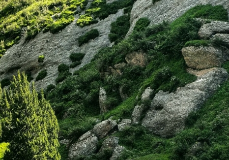 扎尕那徒步,一生必去的徒步天堂_1_十亿(爬山版)_来自小红书网页版