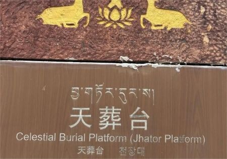 _1_飞行的书卷_来自小红书网页版