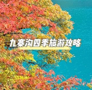 探秘童話世界：九寨溝全年天氣指南與旅行時光