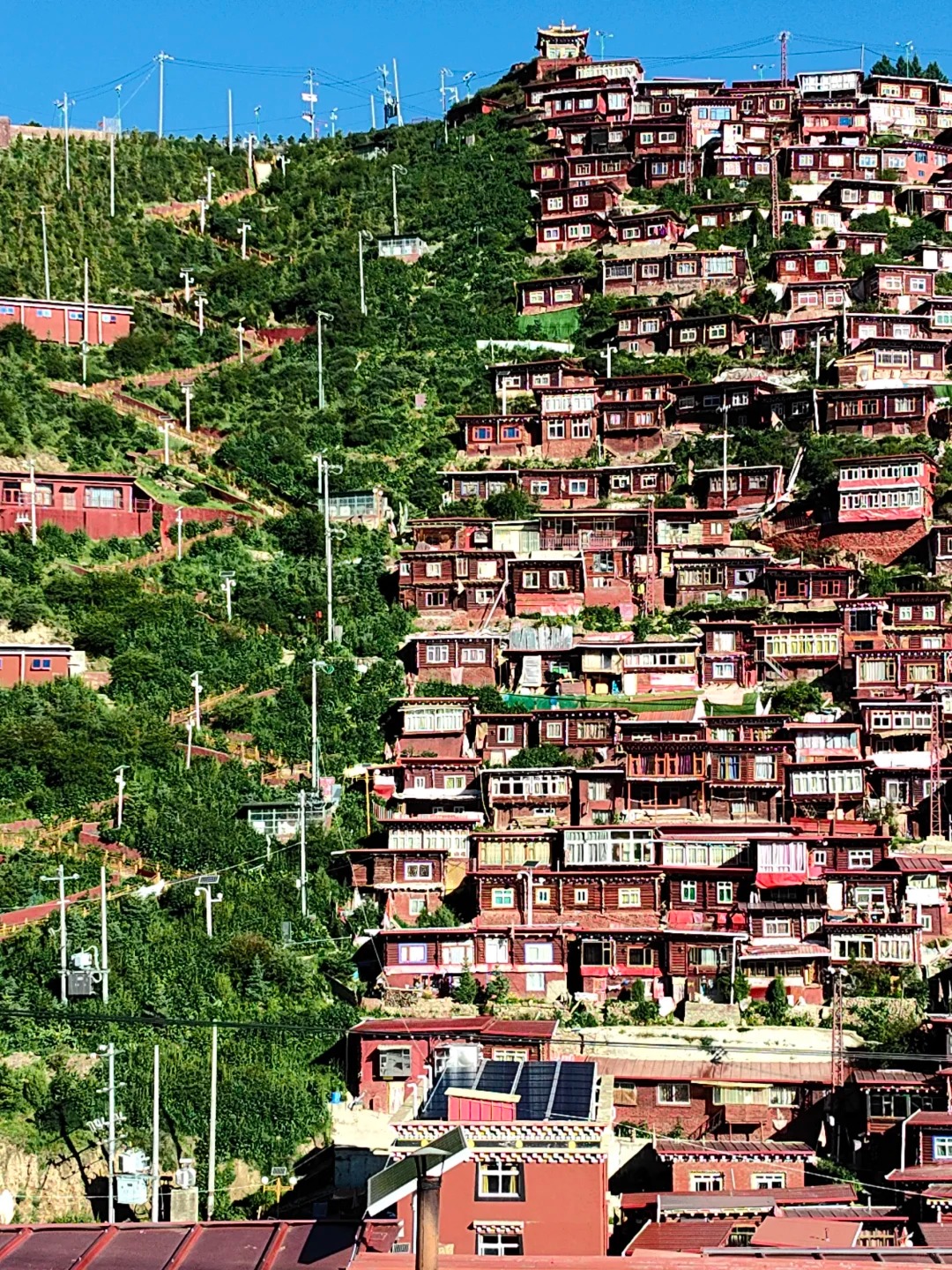 甘南川西北環線八日遊|拉卜楞寺、郎木寺、扎尕那、色達佛學院深度之旅