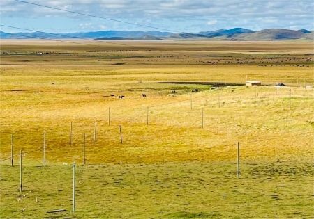 若尔盖把秋天的浪漫拉满了，今日实况_1_333333_来自小红书网页版