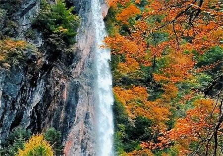 官珠沟游记：踏瀑寻峡，沉醉陇南山水秘境_1_水莲花视界_来自小红书网页版
