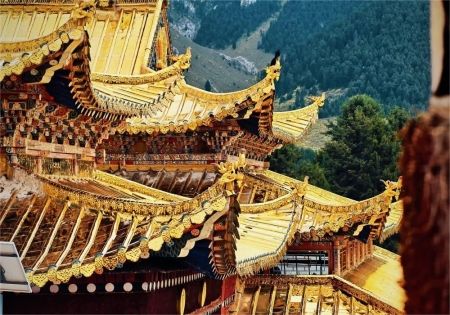 一天两寺 拉卜楞寺&郎木寺 你喜欢哪个？_1_逛小红书的小喵咪_来自小红书网页版