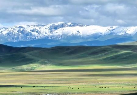 听劝❗若尔盖免费的风景才是天花板！_1_暴走柠萌_来自小红书网页版