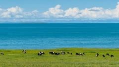 青甘暢玩西北7日游|茶卡鹽湖·翡翠湖·大柴旦·張掖丹霞精華路線