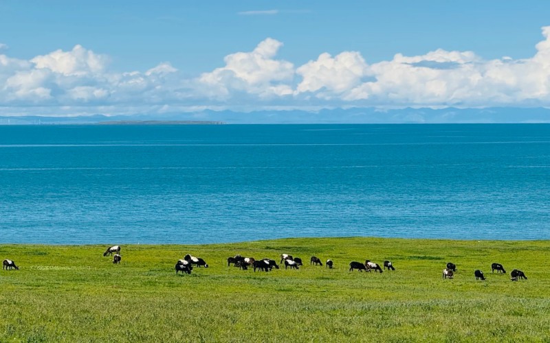青甘暢玩西北7日游|茶卡鹽湖·翡翠湖·大柴旦·張掖丹霞精華路線