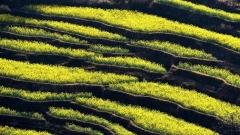 去云南最好的季节:发现云南四季的魅力