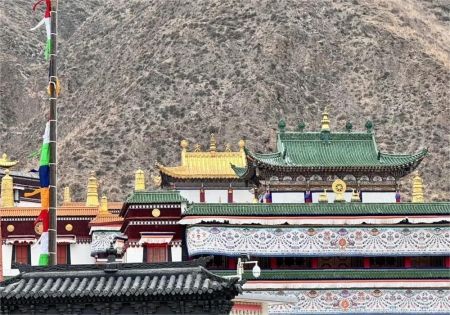 已经开始期待夏季的甘南了!避暑又好看_5_九哥户外旅游-外宾接待_来自小红书网页版