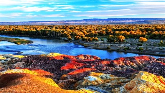 e4517c0e6ce4b4b9216c067d7cfb1ad8