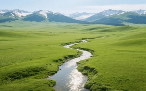 新疆那拉提空中草原__4_路书手扎67D87935_来自小红书网页版